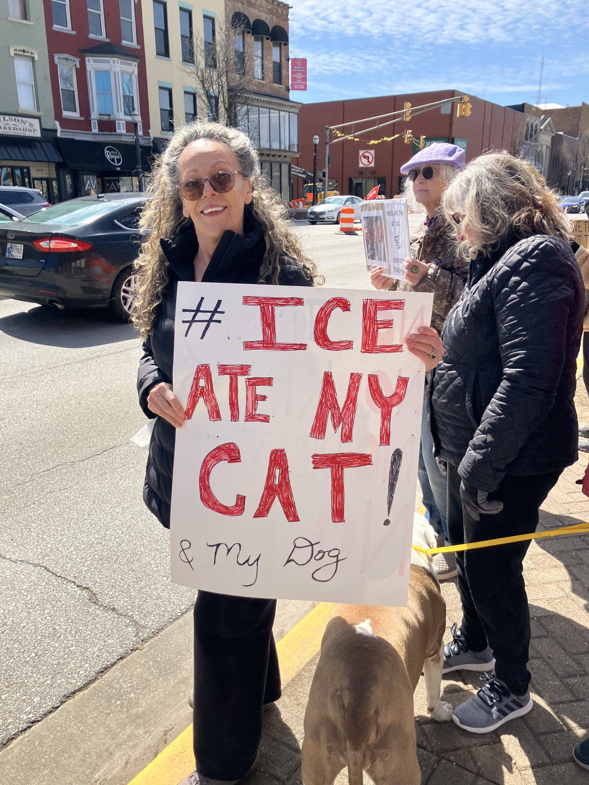 ice ate my cat and my dog